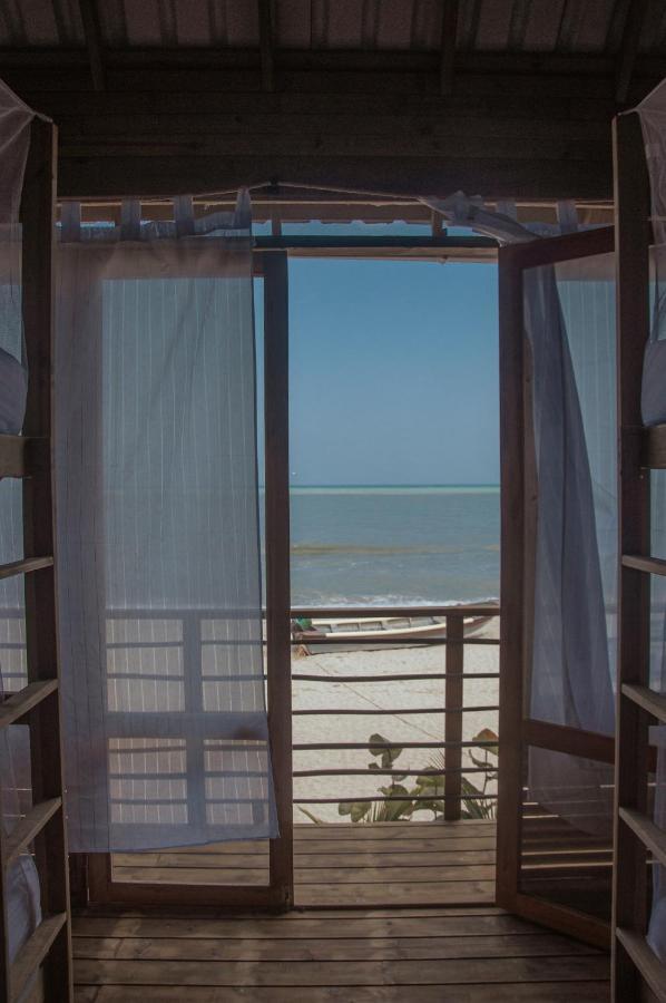 Mendihuaca Surf Camp Hostel Guachaca Екстериор снимка